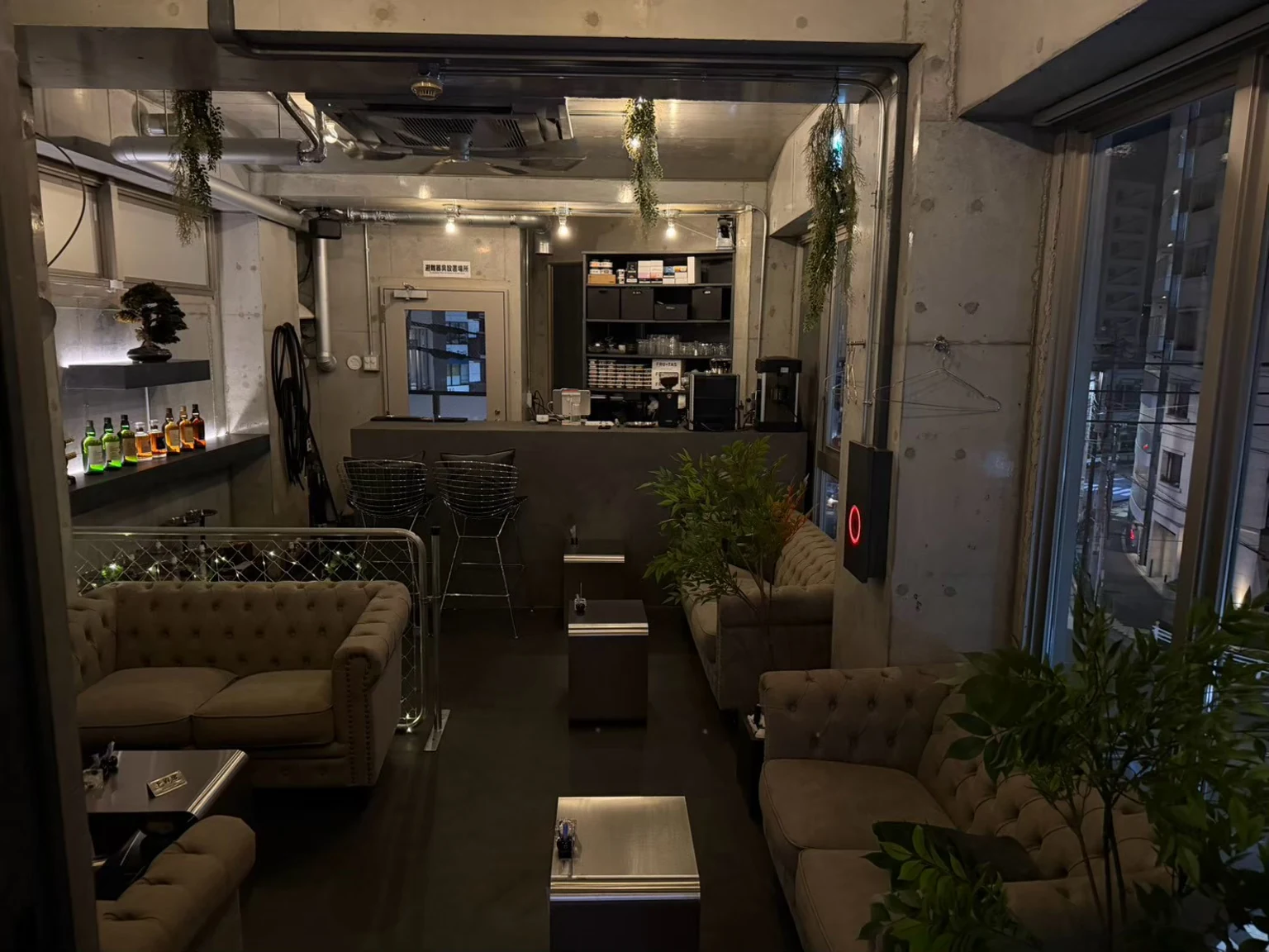 通常席の店内全景。コンクリートの壁、ソファ、窓辺の緑。